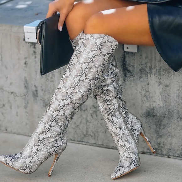VICI Heeled Python Snake Boots | Taupe/Black | Size 8 - Picture 3 of 8